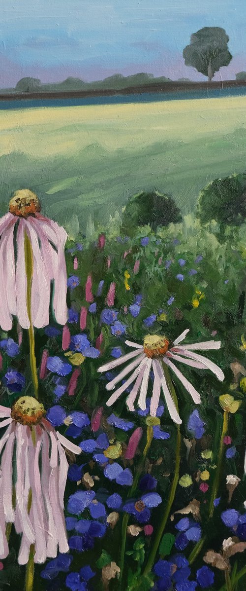 In fields of daisy's by Kerry Lisa Davies