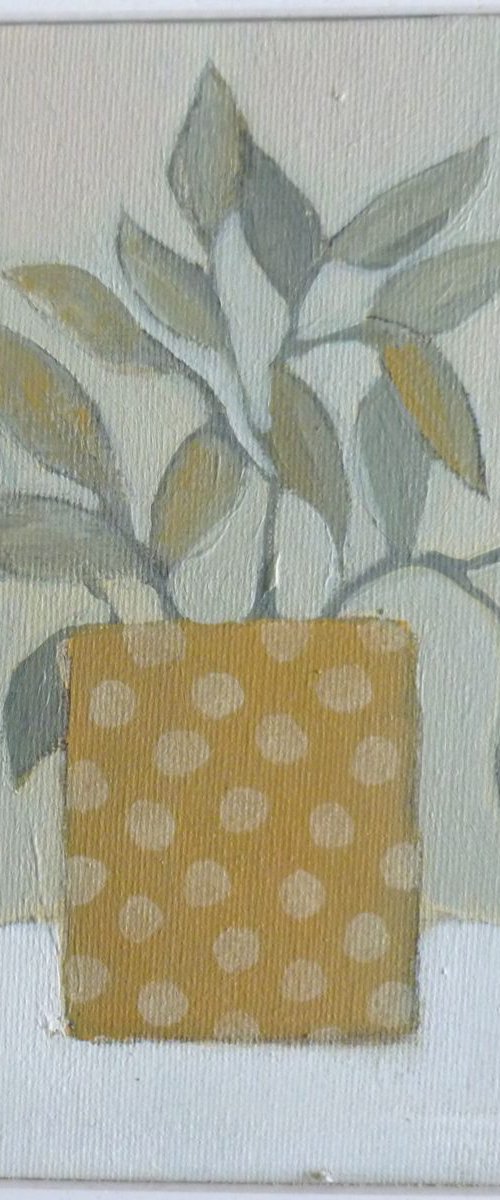 Pot Plant by Fiona Philipps