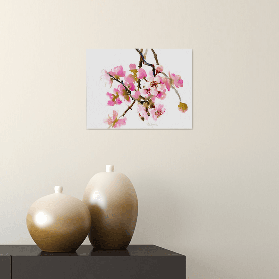 Cherry Blossom,  sakura