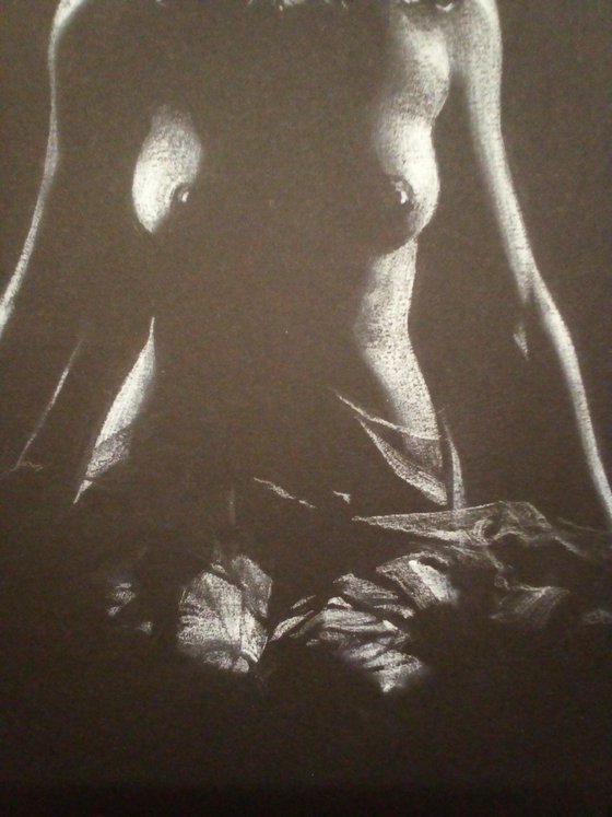 Nude noir #287 (21X29)cm