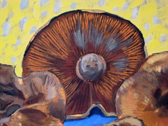 Funghi on Blue Table (2)