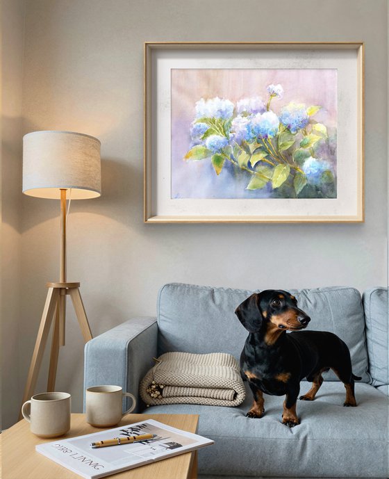 Blue Hydrangeas flowers