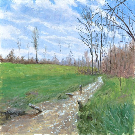 Spring Stream