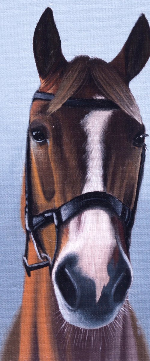 Horse Portrait 64 by Anastasia Parfilo