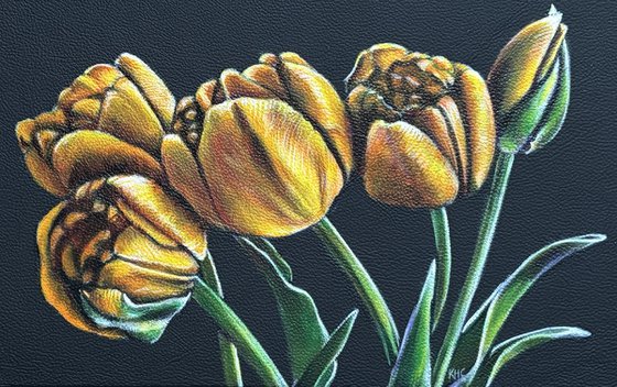 Orange Tulips