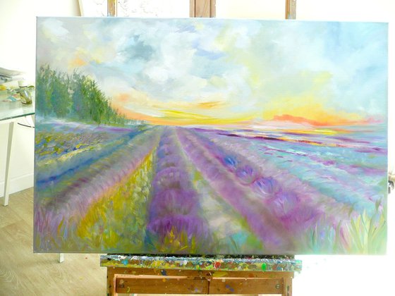 Lavender Fields 2026