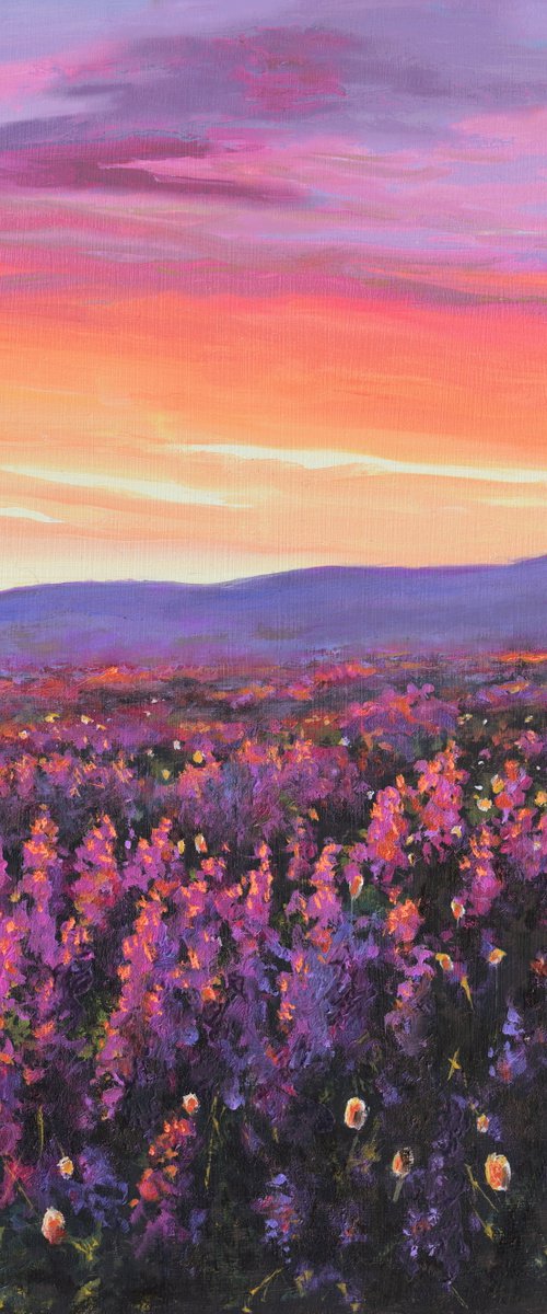 ‘July treasures’ by Lucia Verdejo
