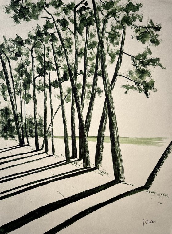Avenue du Cap Coz
