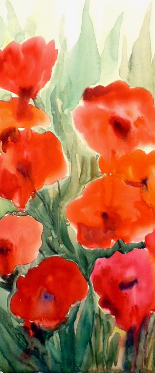 Beauty of Red Poppies Flowers by Samiran Sarkar