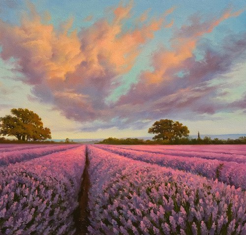 Lavender fields by Eduard Zhaldak