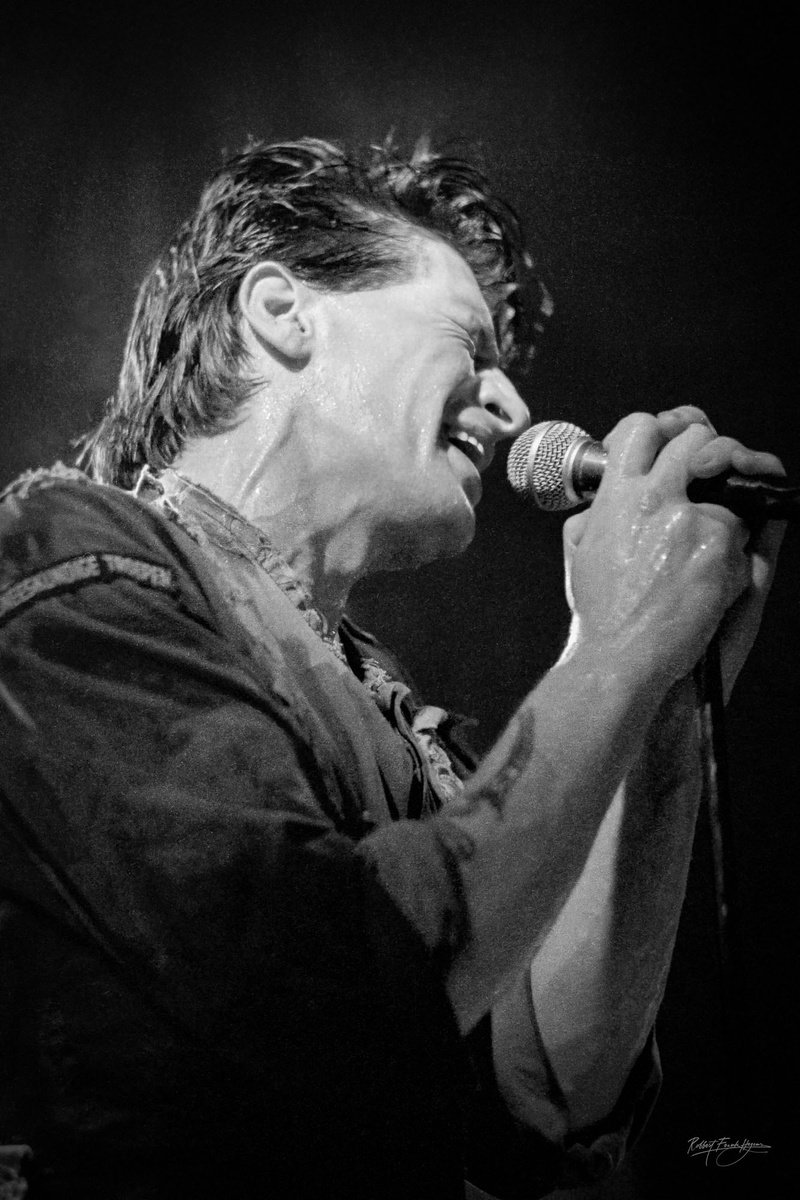 Photorealistic Portrait Photograph By Robbert Frank Hagens, 24 X 35", Herman Brood Wild Romance, Original Artwork