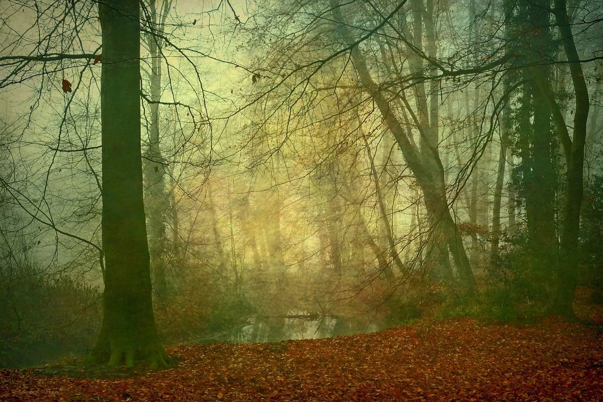 Autumn Mood - Canvas 75 x 50 cm by Sandra Roeken