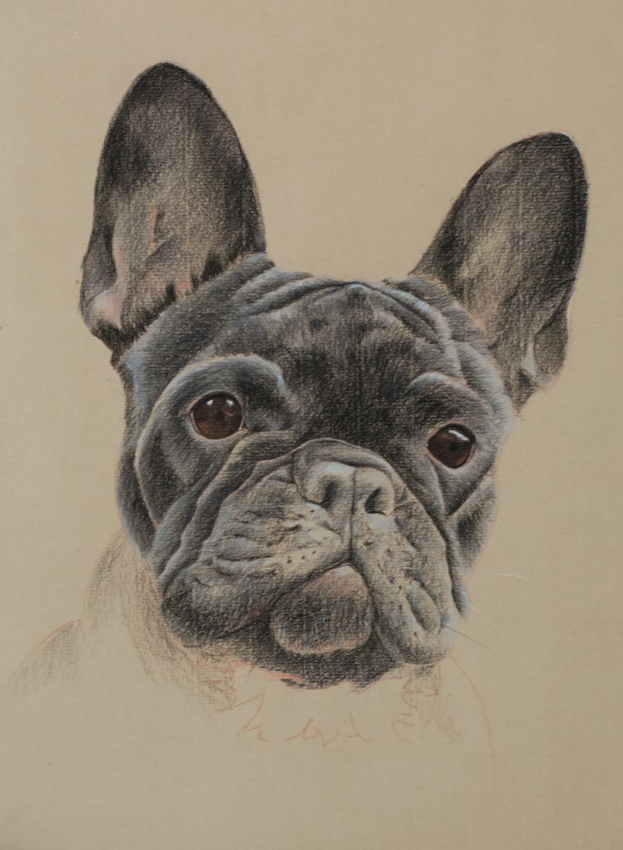 French Bulldog by Wendy Booth