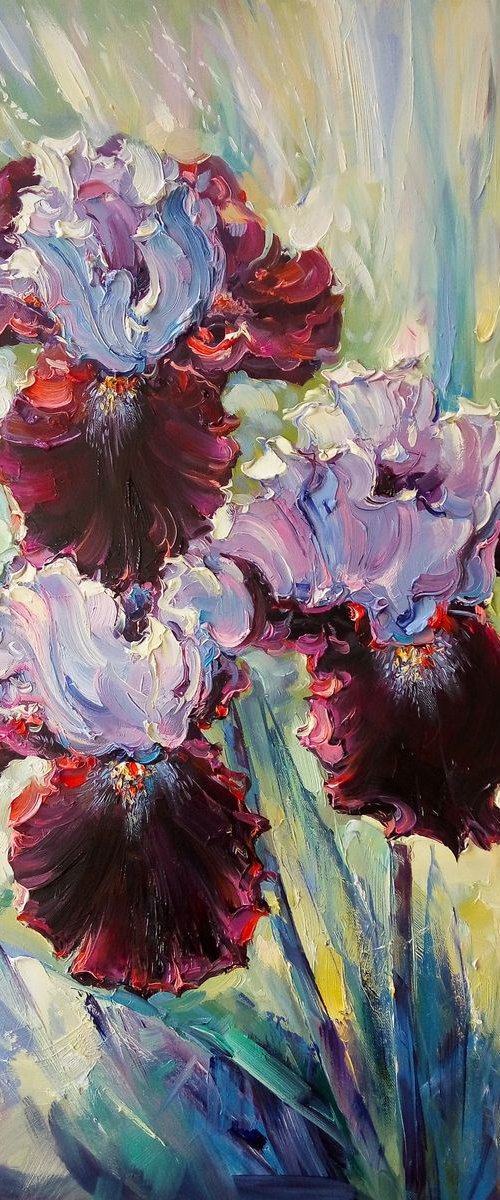 Irises by Artem Grunyka
