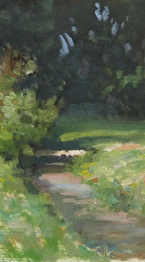 Little Stream by Pascal Giroud