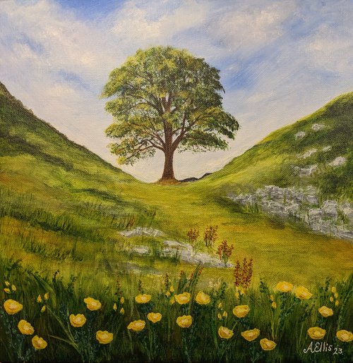 The Sycamore Gap by Anne-Marie Ellis