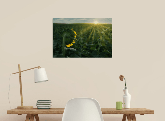 Turning to the Light