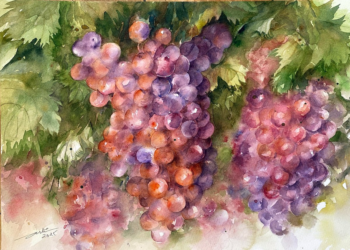 Impressionistic Botanical Watercolour By Arti Chauhan, 14 X 10, Red Grape Cluster, Original Artwork