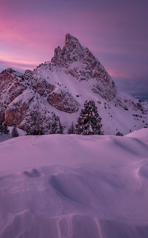 The Witch's winter by Andrea Sagui