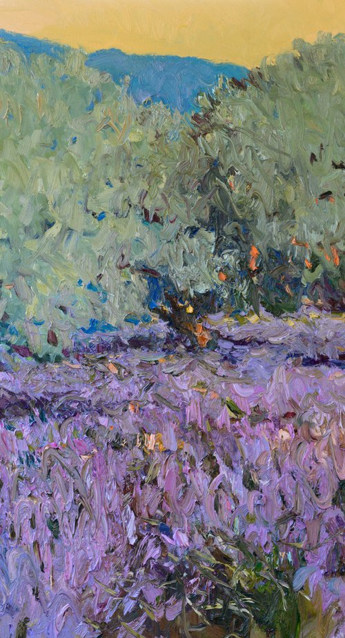 Lavender and Olive Trees by Suren Nersisyan