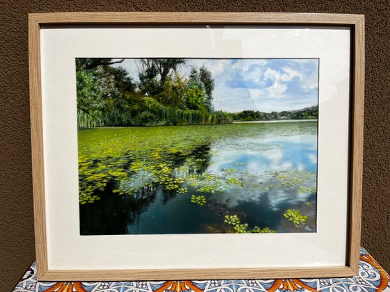 Water Lilies and Cloud Reflections