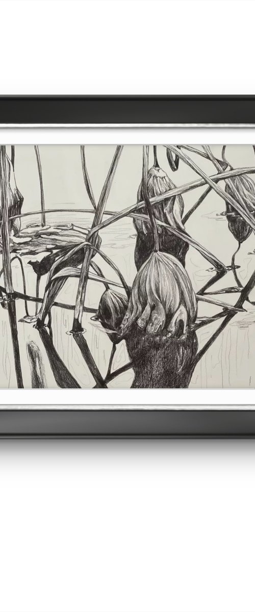 Lotus pond. Autumn by Guzel Min