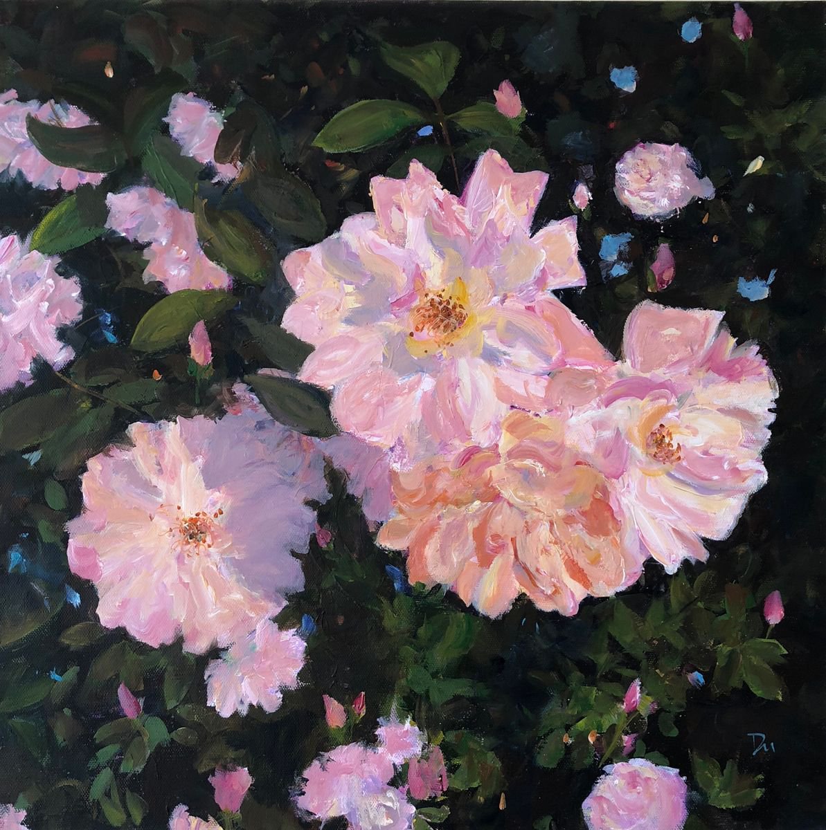 Rose garden by Shelly Du