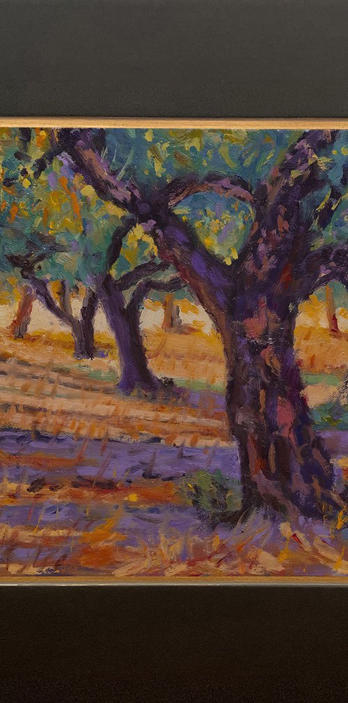 Olive Tree Grove by Daniel Fishback