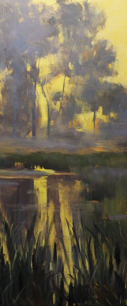 Morning Mist by Yuanyuan Liu