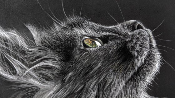 Cats Eyes V  (Original Painting)