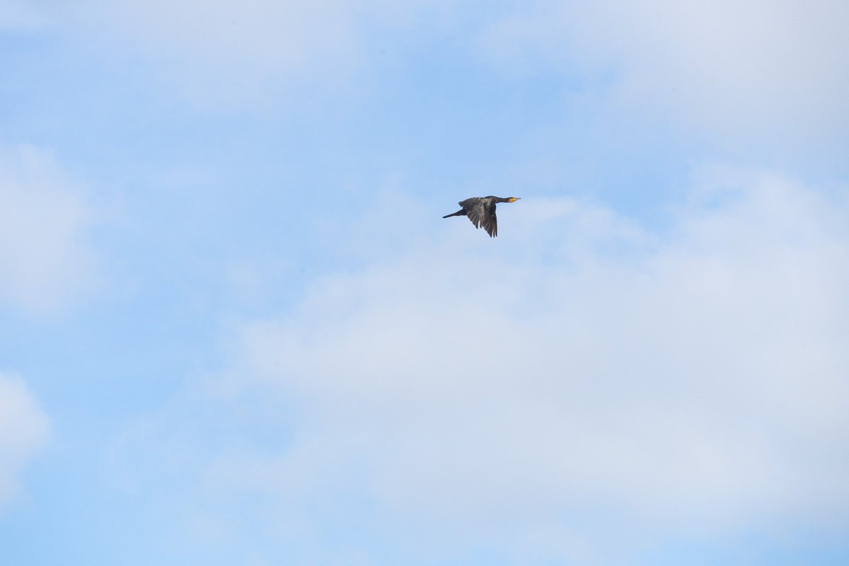 Surrealistic Landscape Photograph By Katha Wood, 65 X 44", Flying By, Original Artwork