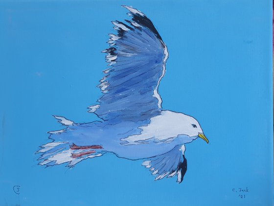 Seagull #6