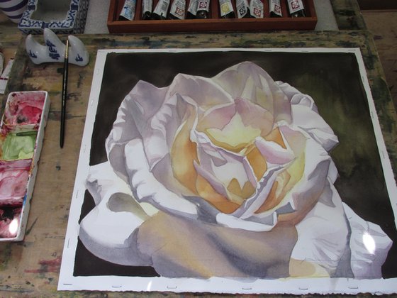 white rose watercolor floral