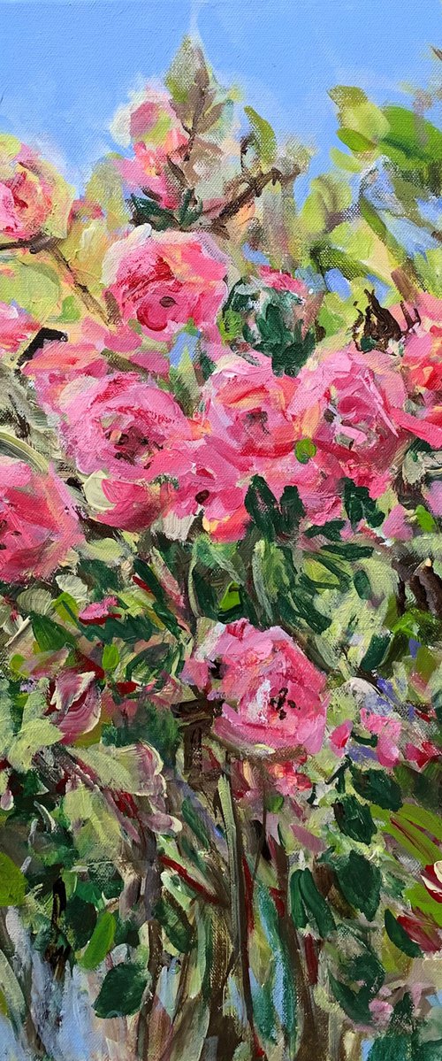 Pink Roses II by Irina Laube