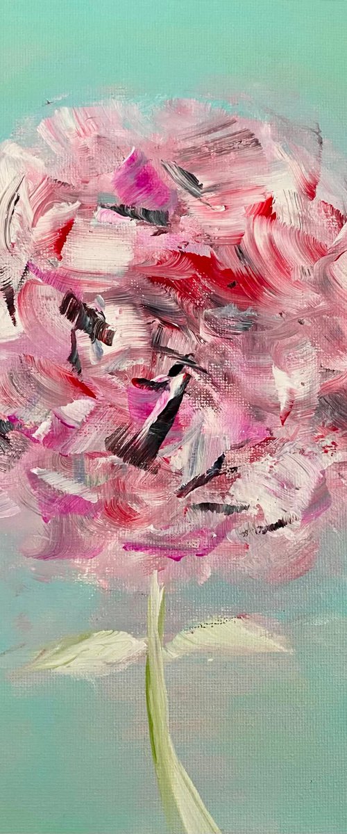 Pompon by Samah Kthar