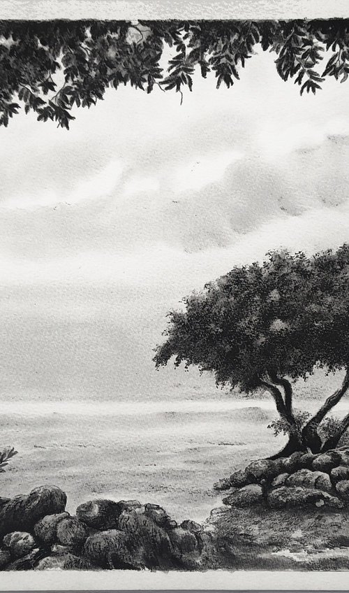 Coastal Monterey Cypress Tree by Shweta Mahajan