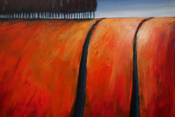 The Orange and the storm  II- Fields and Colors Series