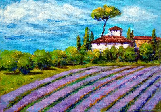Miniature landscape of Lavender fields
