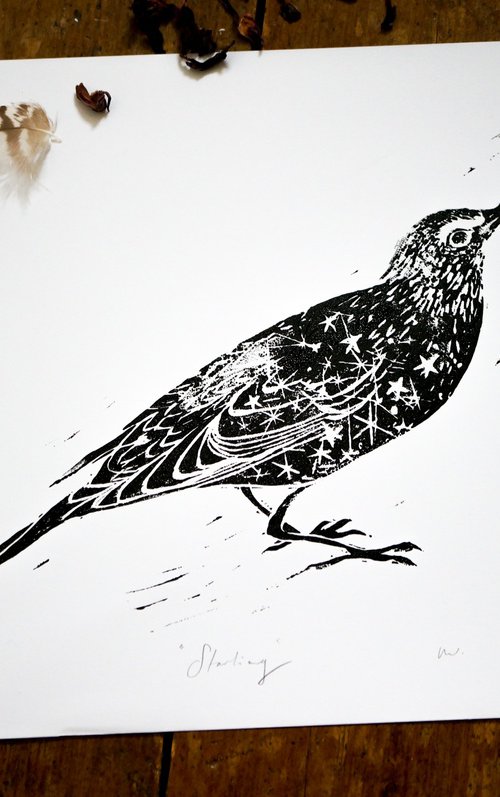 Starling Linocut Print by Victoria Lucy Williams