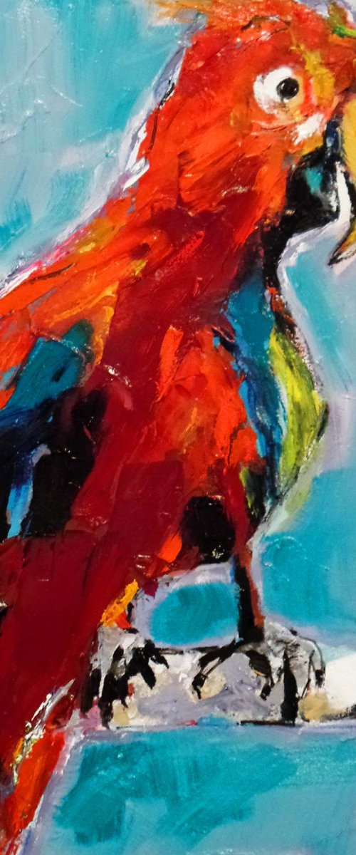 Birds of Paradise - Red Parrot by Irene Wilkes