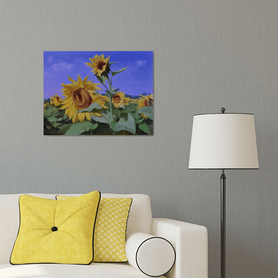 Sunflowers
