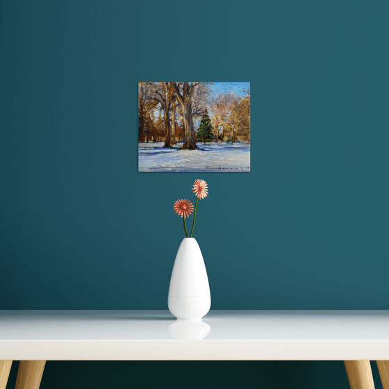 A sunny winter afternoon