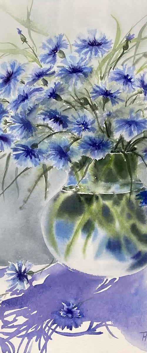Cornflowers by Natalia Butenko