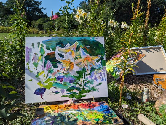 White lilies . Morning garden