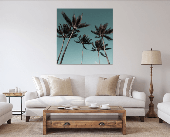 Palms