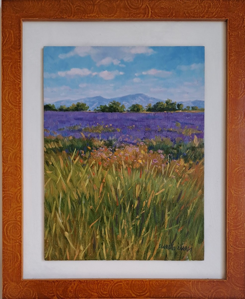 Impressionistic Botanical Oil Painting By Claudio Ciardi, 11 X 13, Fields Of Lavander, Original Artwork