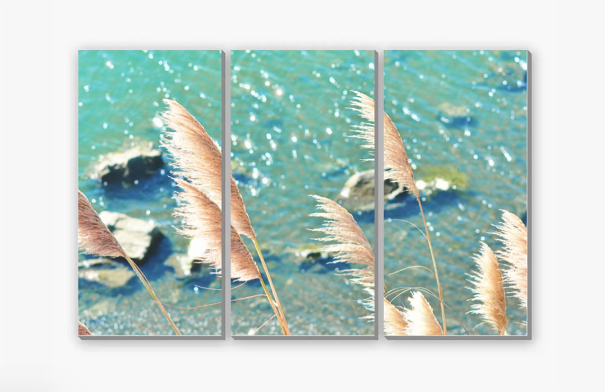 Sun Kissed Gallery Wrapped Canvas Triptych by Emily Kent