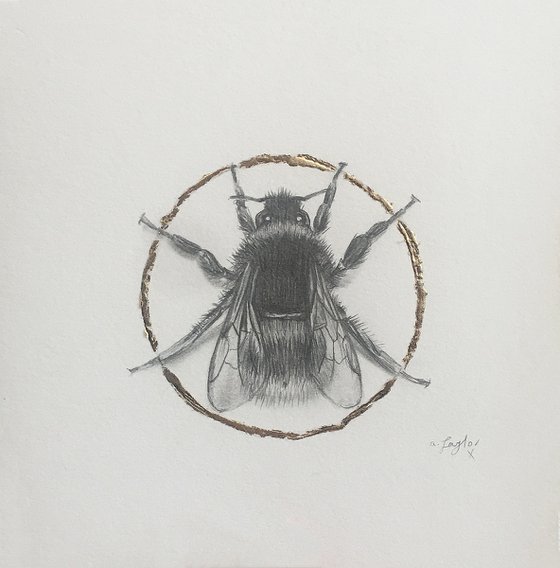 Bumblebee drawing.