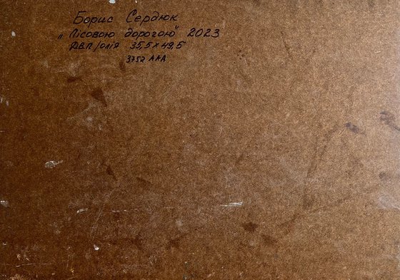 Along the Forest Road