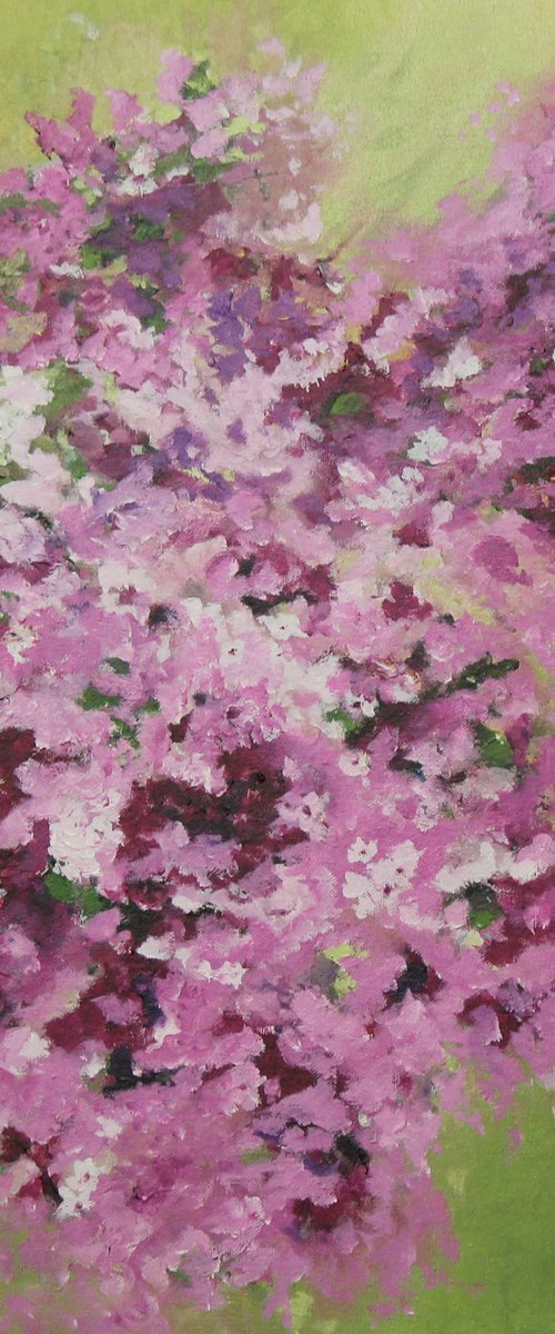 Pink chaos by Debbie Young